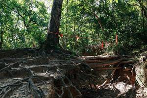 BIB: 
                            <button type="button" onclick="openModal(27800145)" class="btn btn-primary btn-sm float-right btn-popup" data-toggle="modal" data-target=".modal-high-quality">
                        <i class="fas fa-shopping-cart"></i> Add to Cart
                    </button>
                                            <button type="button" onclick="isThisMe(27800145, true)" class="btn btn-success btn-sm float-right btn-popup btn-isme hidden" data-toggle="tooltip" data-placement="bottom" title="นี่คือรูปของคุณใช่ไหม คลิกที่นี่เพื่อเอาเข้าอัลบั้ม">
                        <i class="fas fa-plus"></i> Add to album
                    </button>
                    <button type="button" onclick="isThisMe(27800145, false)" class="btn btn-warning btn-sm float-right btn-popup btn-isnotme hidden">
                        <i class="fas fa-ban"></i> Remove from album
                    </button>